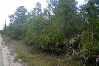 Looking north along road side