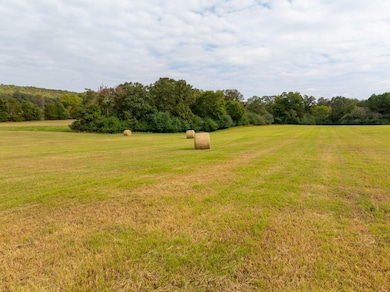 244 Denison Rd, Rose Bud, AR 72137 - photo 7