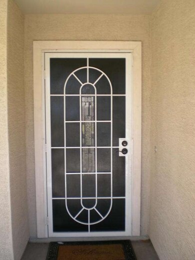 DECORATIVE FRONT SECURITY DOOR/SCREEN