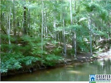 Rare find unrestricted lot with water frontage (se