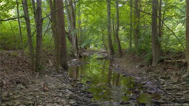 Tranquil creekbed
