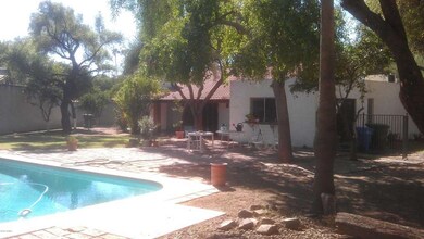 Extra big yard