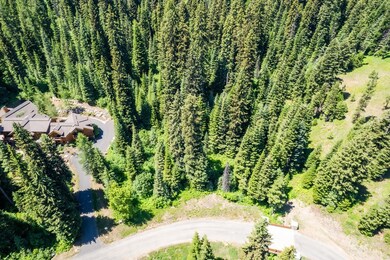 151 Pinnacle Ct unit 47, Tamarack, ID 83615 - photo 4