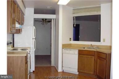 310 Hillside Terrace, Hyattsville, MD 20785 - photo 7