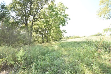 800 Central Pike unit 6, Harrodsburg, KY 40330 - photo 2