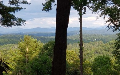 Additional View