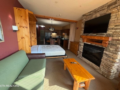 1424 Old Knoxville 13067 13079 Hwy, Sevierville, TN 37876 - photo 3