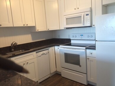 10 Riverside St unit 3, Watertown, MA 02472 - photo 3