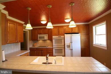 10307 Shaw Dr, Spotsylvania, VA 22553 - photo 5