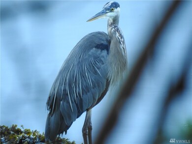 17770 Tuk Tuk Trail, La Conner, WA 98257 - photo 3
