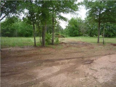 3221 New Hope Rd, Dawson, GA 39842 - photo 5