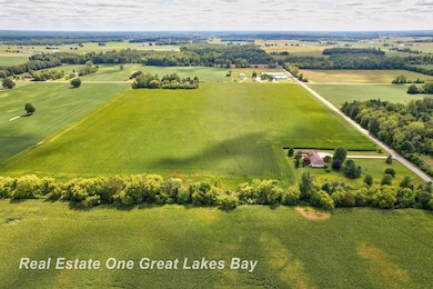V/L Mielke Rd, Freeland, MI 48623 - photo 4