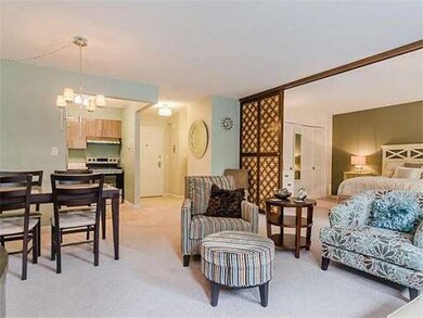 Hammond Park Condominiums unit 17, Chestnut Hill, MA 02467 - photo 6