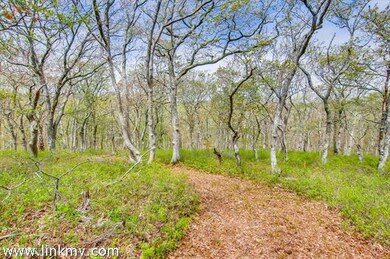 98 Kings Highway, Chilmark