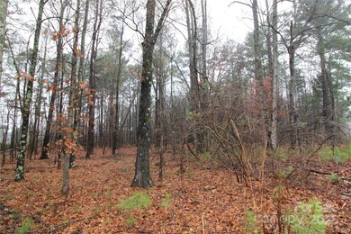 4+/-AC LOT 5 Milo Neal Rd, Kings Mountain, NC 28086 - photo 6