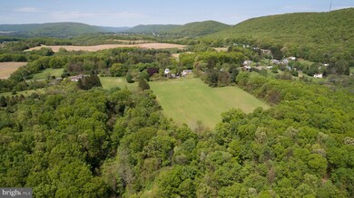 Lot 0 Tiley Rd, Ashland, PA 17921 - photo 7