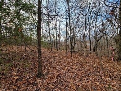 0 Reba Ln unit 1237428, Bella Vista, AR 72715 - photo 5