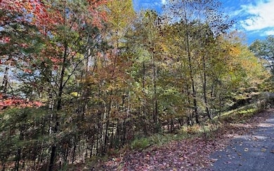 Lt 56,57 Hemlock Dr, Suches, GA 30572 - photo 2