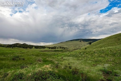 TBD Highway 9, Guffey, CO 80820 - photo 7