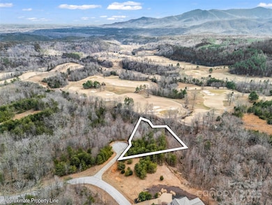 146 Wee Burn Cove, Mill Spring, NC 28756 - photo 2