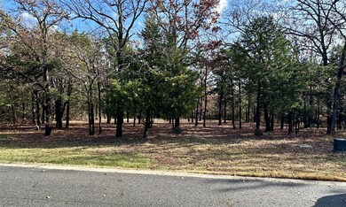 34D Dove Canyon Dr, Gordonville, TX 76245 - photo 3