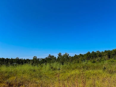 0 Highway 190, Woodville, TX 75979 - photo 2