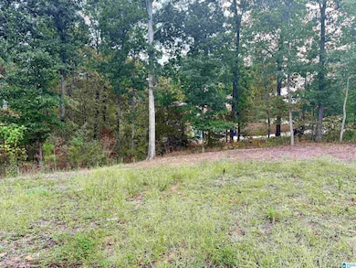 00 Hickory Ridge Rd unit 40, Oneonta, AL 35121 - photo 3