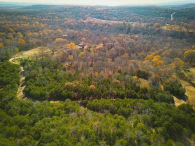 DJI_0163