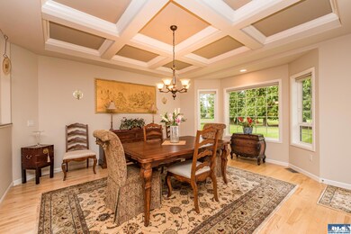 Coffered Ceiling & Patio Access