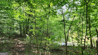 6670 Old Ferry Ct, Douglasville, GA 30135 - photo 3