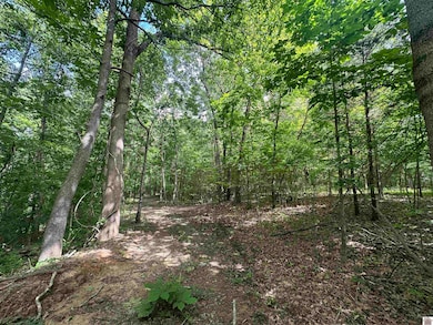 1 Timber Ridge Dr unit and Smith Grove Subd, Paducah, KY 42001 - photo 5