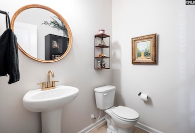 805 Scarlet Leaf Ln, West Columbia, SC 29169 - photo 6