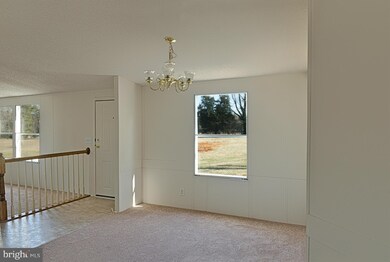 6620 Williams Ln, Spotsylvania, VA 22551 - photo 6