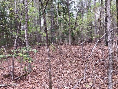 240 Riverhills Trail wooded