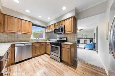 1924 Saginaw Ct, Naperville, IL 60565 - photo 5