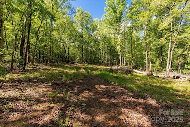 5212 Star Magnolia Ct, Clover, SC 29710 - photo 2