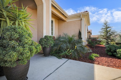 7 - Front Yard (2)
