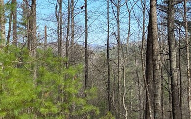 Additional View