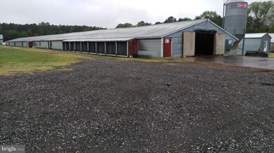 32403 E Line Rd, Delmar, MD 21875 - photo 7