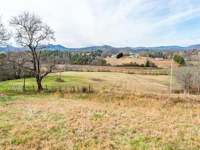 99999 King Dr, Leicester, NC 28748 - photo 4