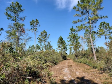 0 SW Prine Rd unit 20907097, Lee, FL 32059 - photo 3