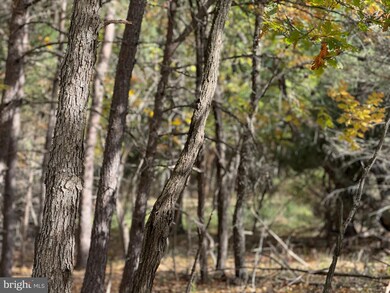 14015 Winchester Grade Rd, Berkeley Springs, WV 25411 - photo 7