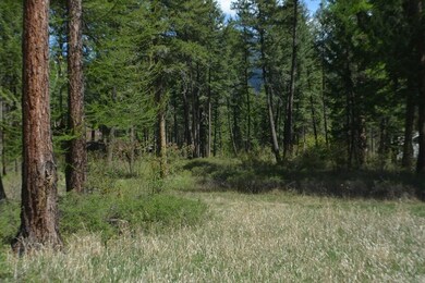 47 Wood Ridge Dr unit Lot 22, Columbia Falls, MT 59912 - photo 5