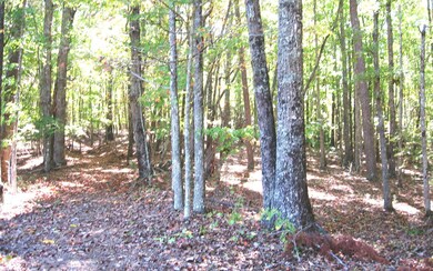 Additional View
