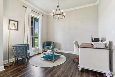 10213 W Robert Wilson Rd, Gonzales, LA 70737 - photo 7