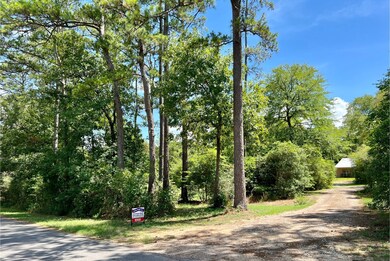 24609 Pine Ridge Rd, Hockley, TX 77447 - photo 3