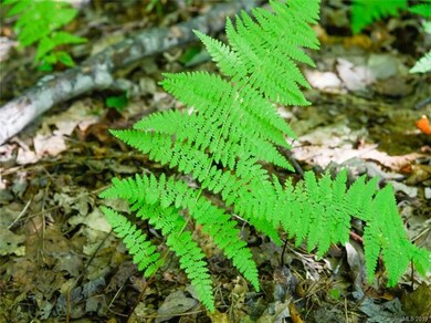 1306 Double Knob Dr unit 112, Arden, NC 28704 - photo 3