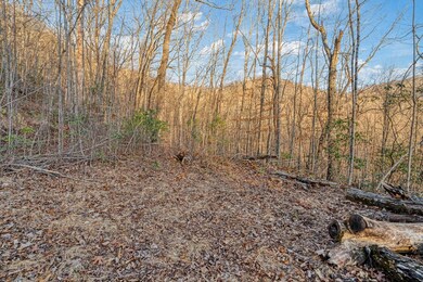 00 Brandy Ln, Franklin, NC 28734 - photo 7