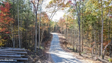 101 Cherokee Path, Tellico Plains, TN 37385 - photo 3