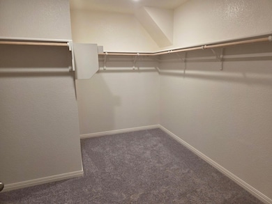 Walk in closet with carpet floors